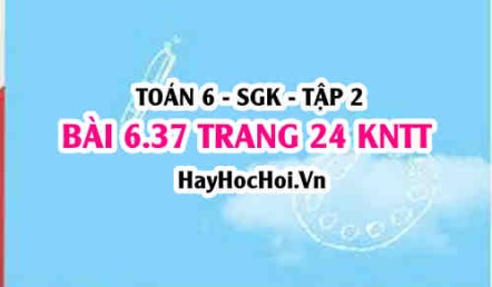 Bài 6.37 trang 24 Toán 6 Tập 2 Kết nối tri thức